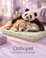 Materassino ortopedico per animali Orthopet, il benessere a 4 zampe Buonanotte